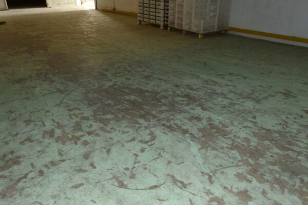 Pintura Del Pavimento En Mal Estado