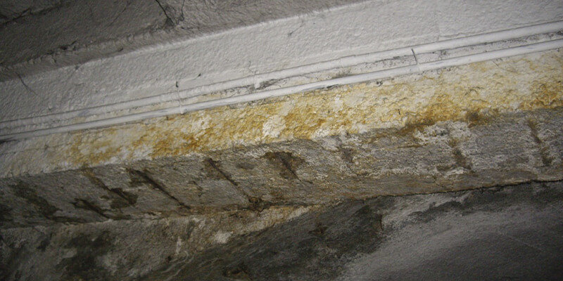 Humedad En Estructuras de Hormigón