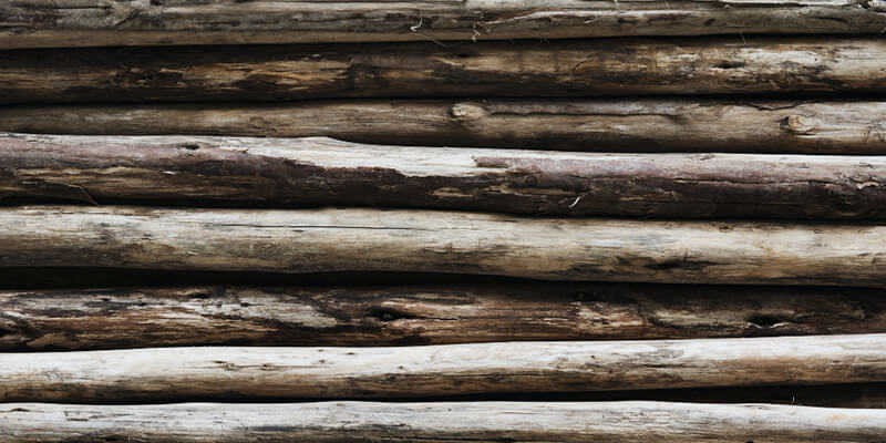 Troncos De Madera