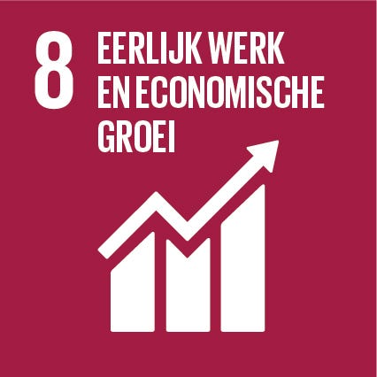 Sdg 8 – Waardig Werk En Economische Groei