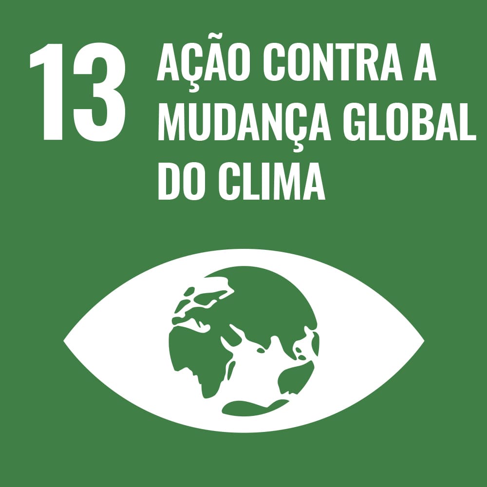 Ods 13 – Ação Climática