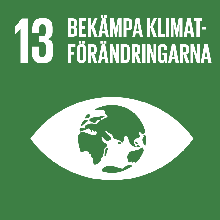 13 Bekampa Klimatforandringarna 1