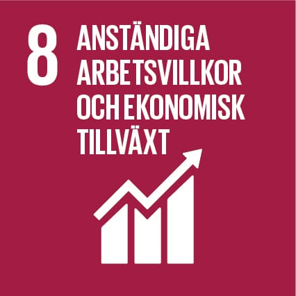 Sdg 8 – Anständiga Arbetsvillkor Och Ekonomisk Tillväxt