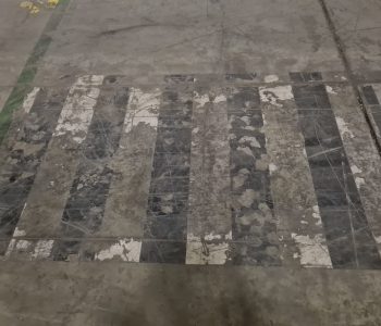 Rugby Pre Proyect 01.jpeg Rugby Pre Proyect 01.jpeg