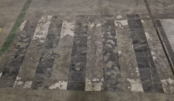 Rugby Pre Proyect 01