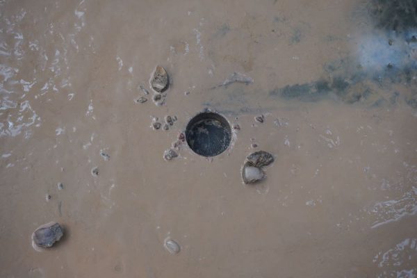 Scrap After Removal Of Concrete Pavement Anchors