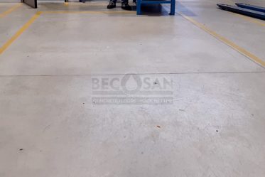 borgui-before-2 borgui-before-2