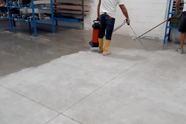 proceso-borgui-1 proceso-borgui-1