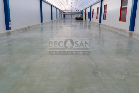 rehabilitacion pavimento agroalimentario becosan montosa 37 rehabilitacion pavimento agroalimentario becosan montosa 37