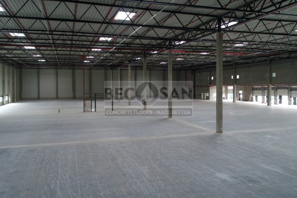 tratamiento-becosan-alemaina-y-reparaciones